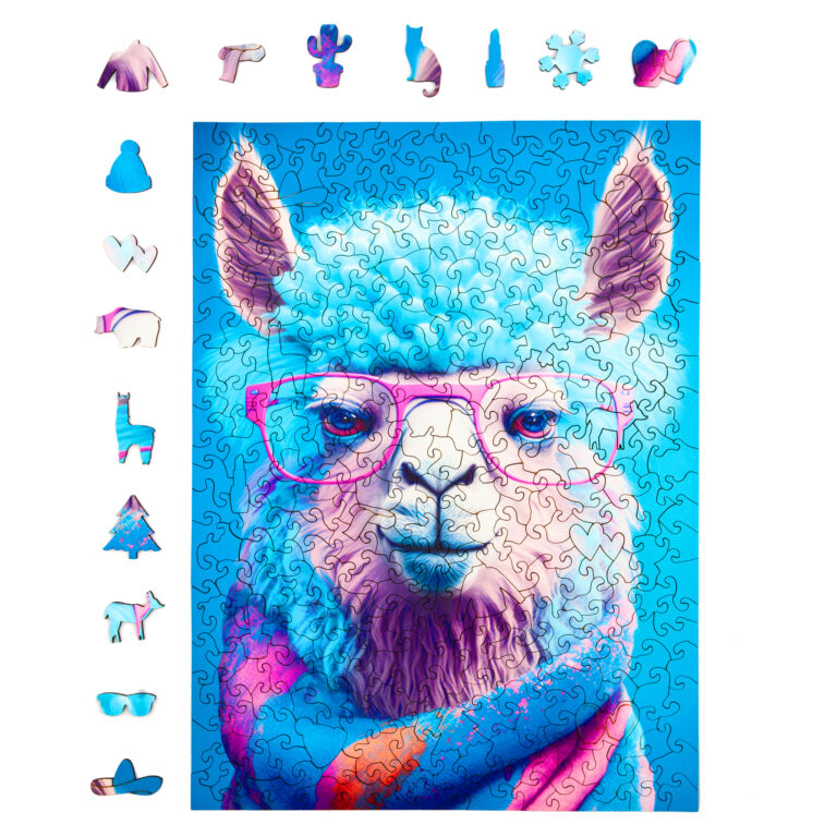 5014_Cold_is_Cool-Christina_Chicky_Alpaca_1