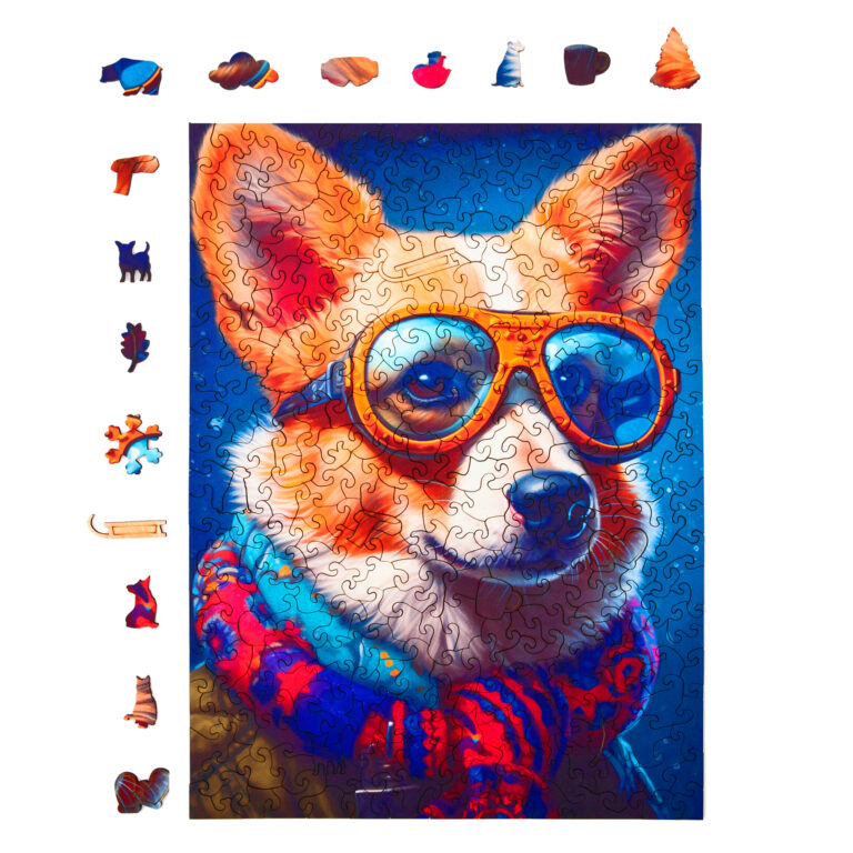 5026_Cold_is_Cool-Colin_Corgi_Dog_1