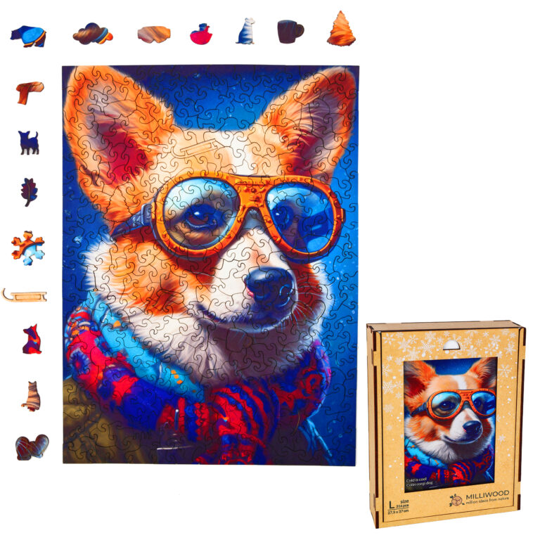 5026_Cold_is_Cool-Colin_Corgi_Dog_2