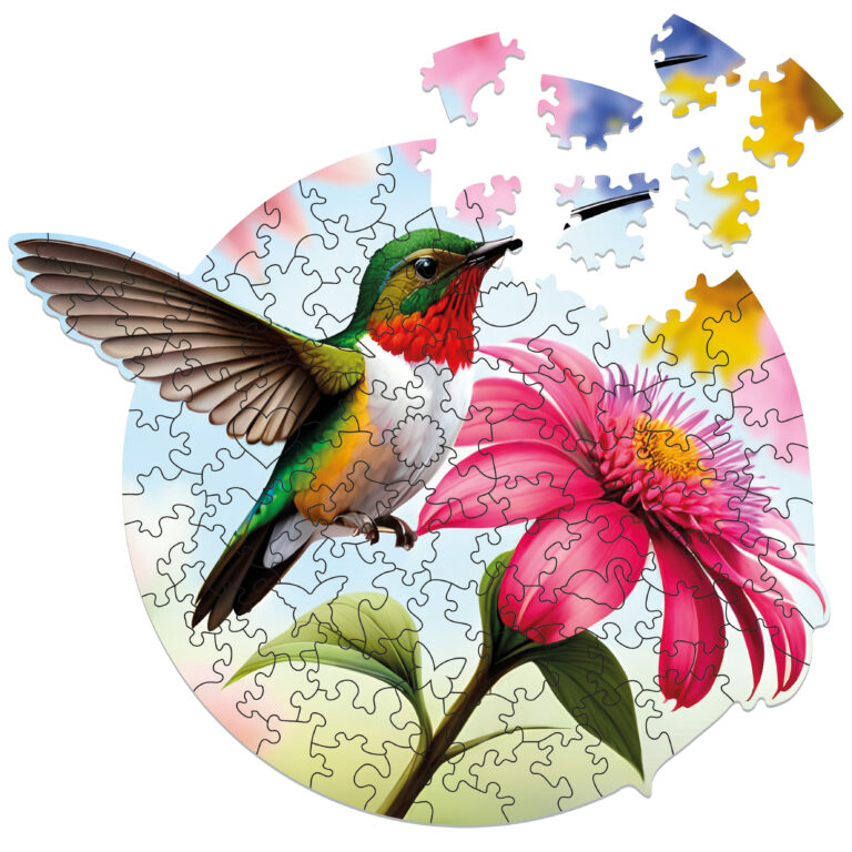 5081_Celebrating-Hummingbird_1