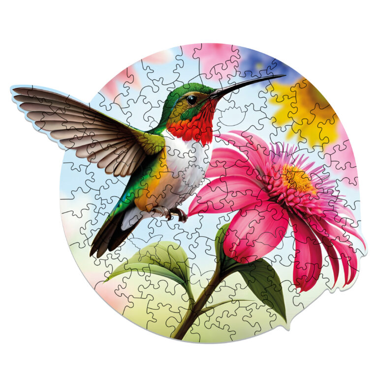 5081_Celebrating-Hummingbird_11