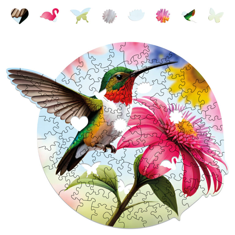 5081_Celebrating-Hummingbird_13