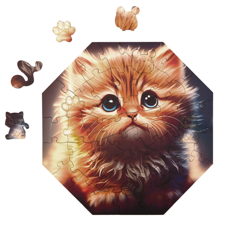 5006_Hi_Im_little_Cali_Cat1