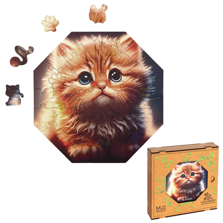 5006_Hi_Im_little_Cali_Cat2