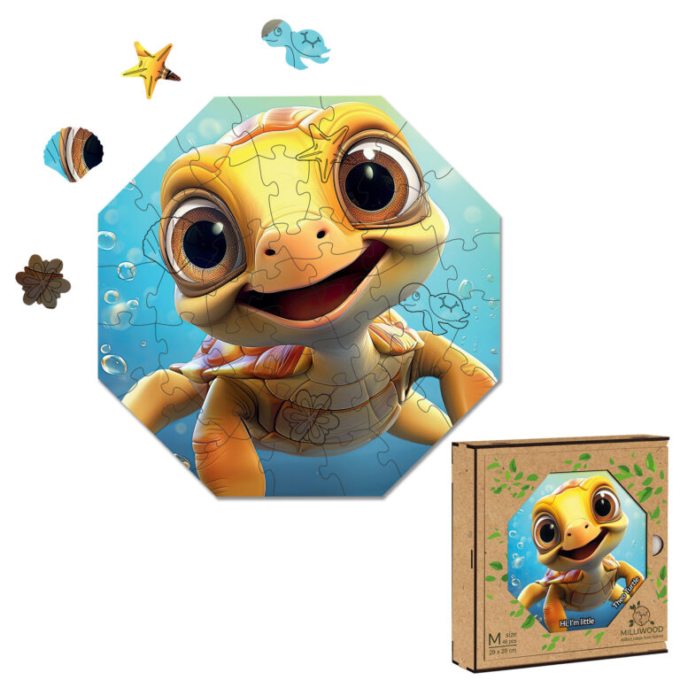 5058_Im Little-Theo turtle_2