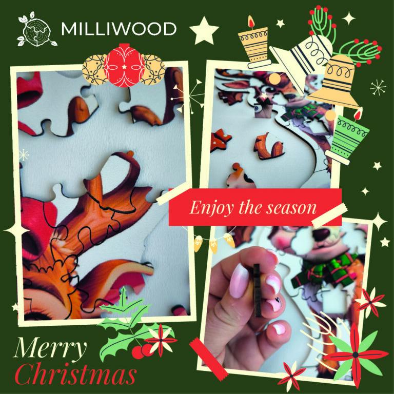 5095_ Christmas - Caramel Rindeer_9