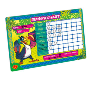 REWARD CHART – LARGE (B3)